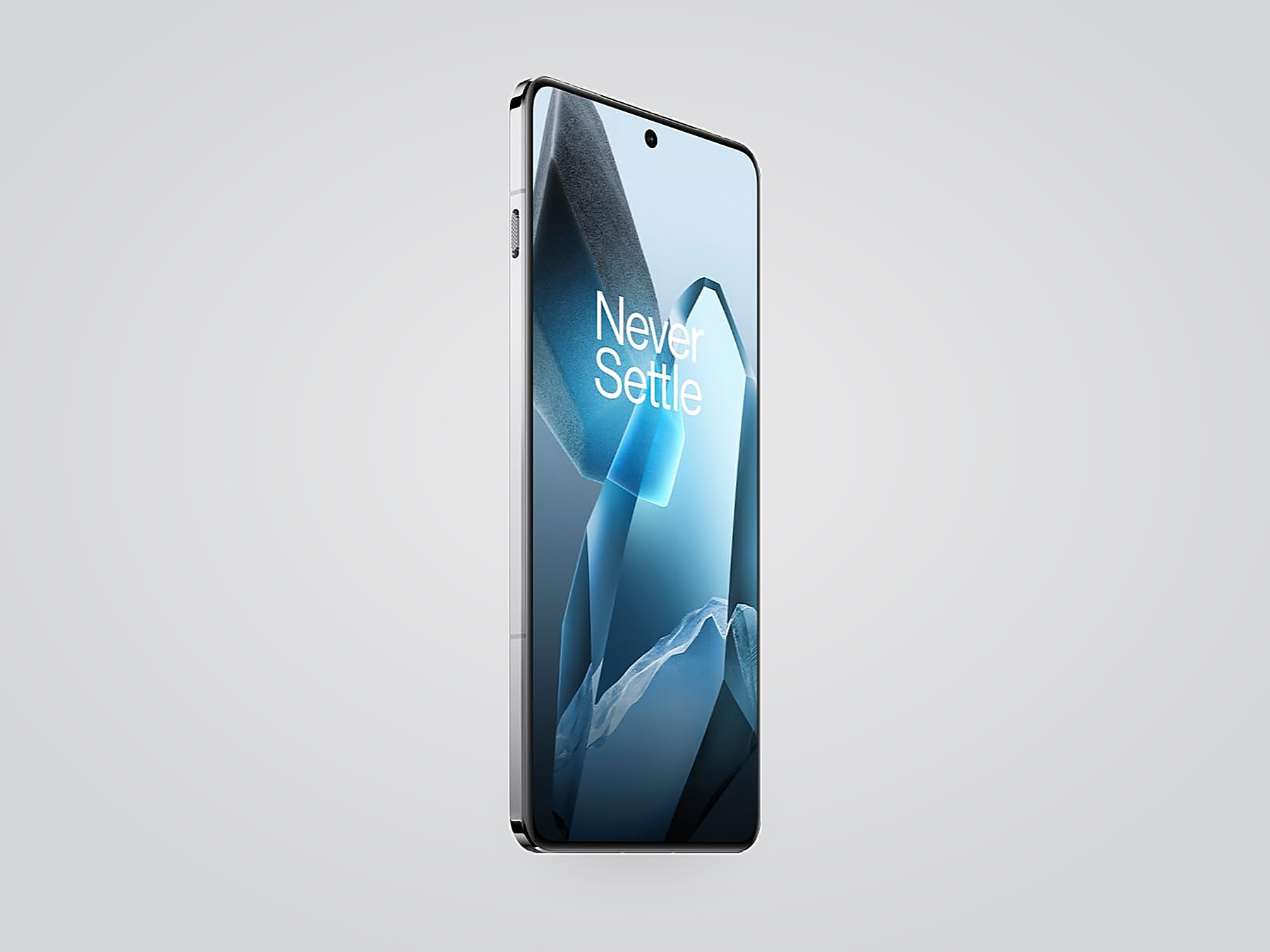 OnePlus 13